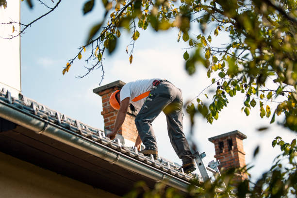 Best Best Roofing Contractors  in Paonia, CO