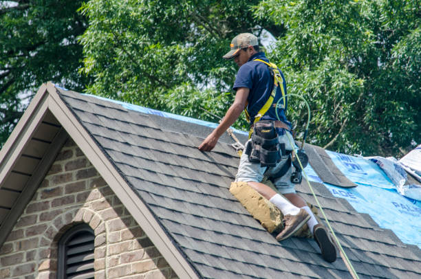 Trusted Paonia, CO Roofing Contractor Experts
